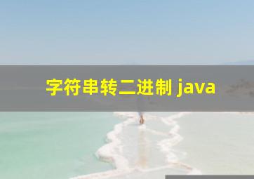 字符串转二进制 java